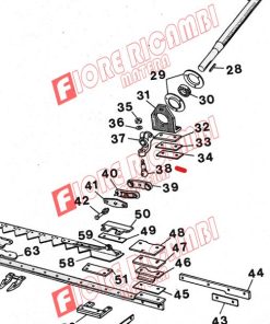15727 - GAMBO