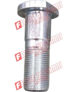 24836 - BULLONE
