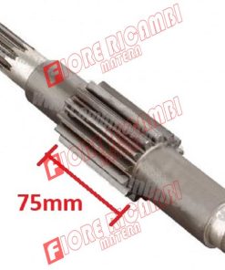 300130027 ALBERO PRIM. Z.14