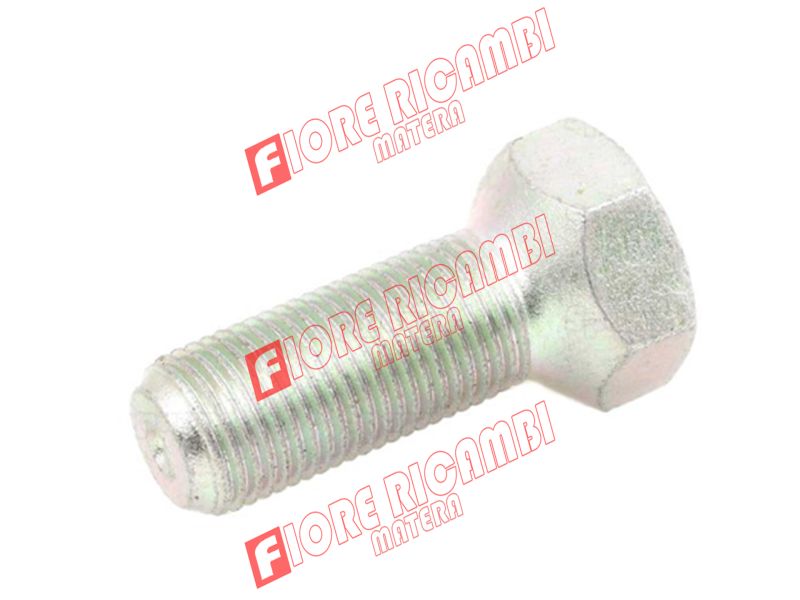 4959684 - VITE 16X1,5