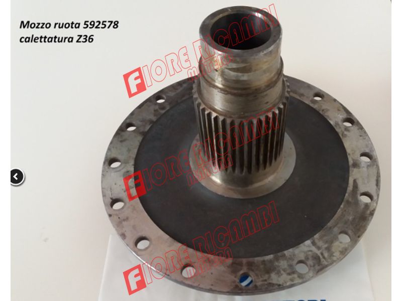 592578 - MOZZO R.M. USATO