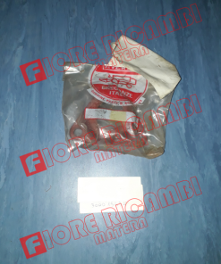 300015434 - SUPPORTO