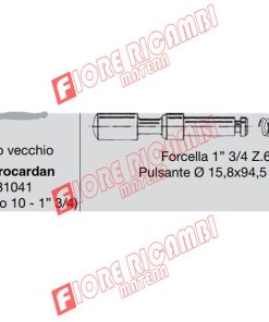 30817 - PULSANTE 1 3/4 Z.6 PER EG T/V.(5PZ) NB EURO CARDAN