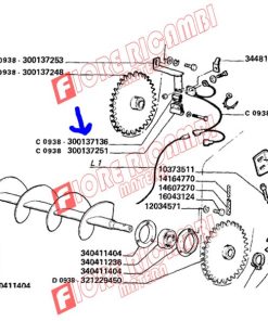 300137136 MAGNETE