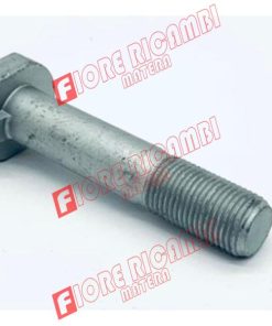 3542266M1 - VITE     16X1,5X79  testa tonda con nasello