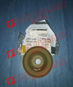 300015978 - COPERCHIO