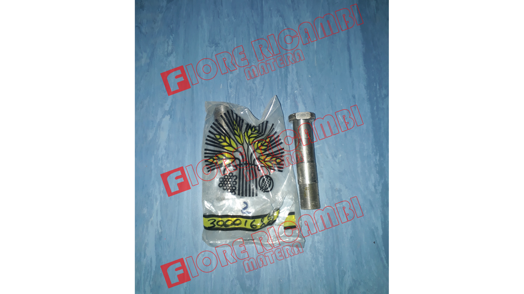 300016891 - PERNO