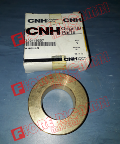 300119257 ANELLO