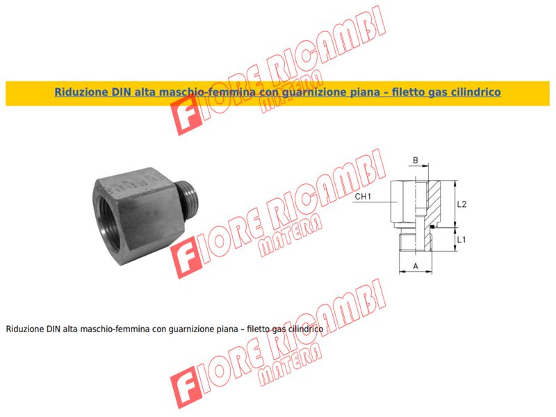 EGC107511 - RIDUZIONE DIN M. 1/2 -F. 3/4 GAS