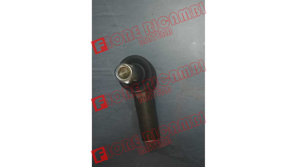38781 - TESTA SNODATA