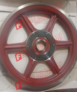 300130177 PULEGGIA