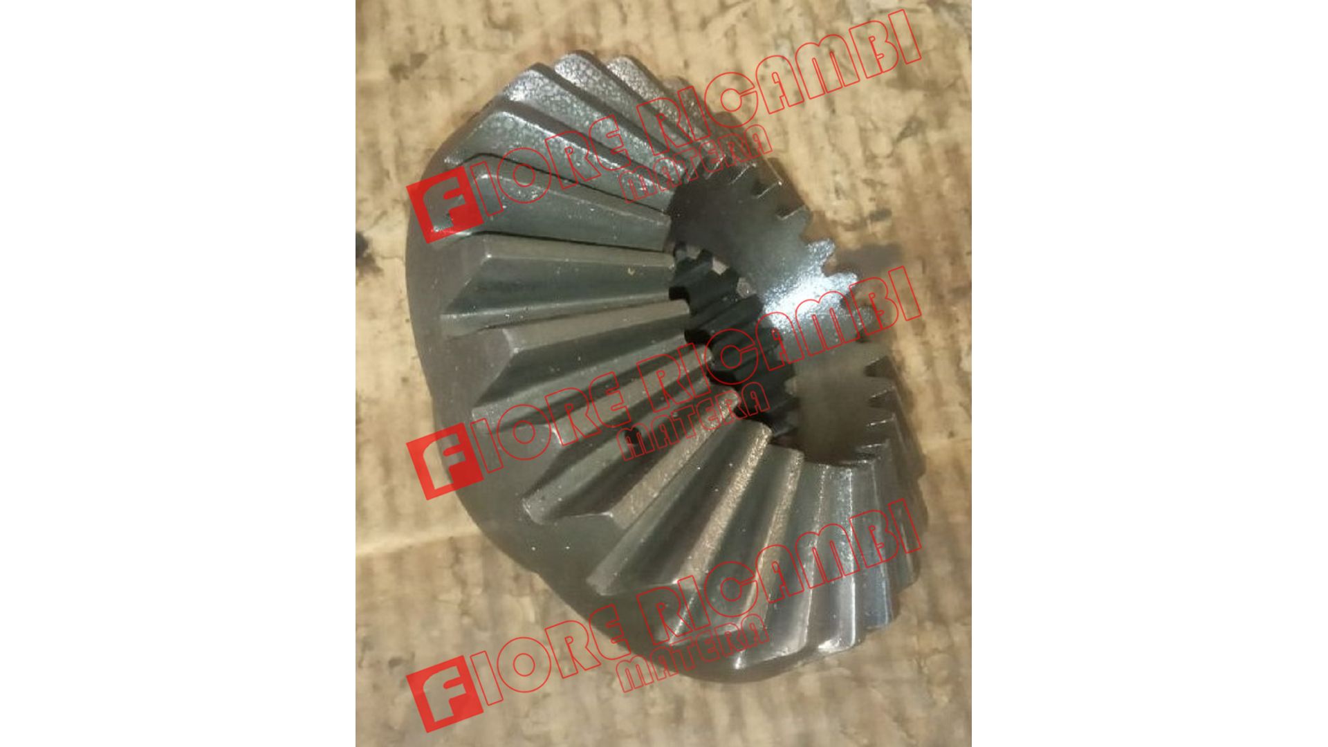 1930113 - MANICOTTO DENTATO
