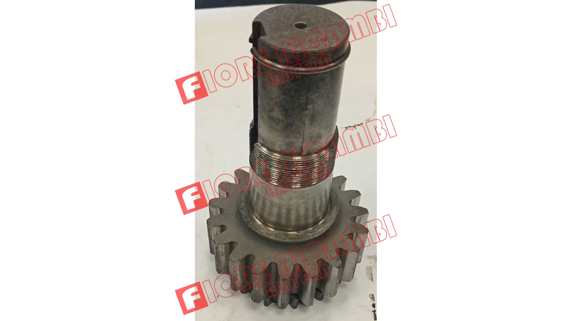 553063 ALBERO CAMBIO