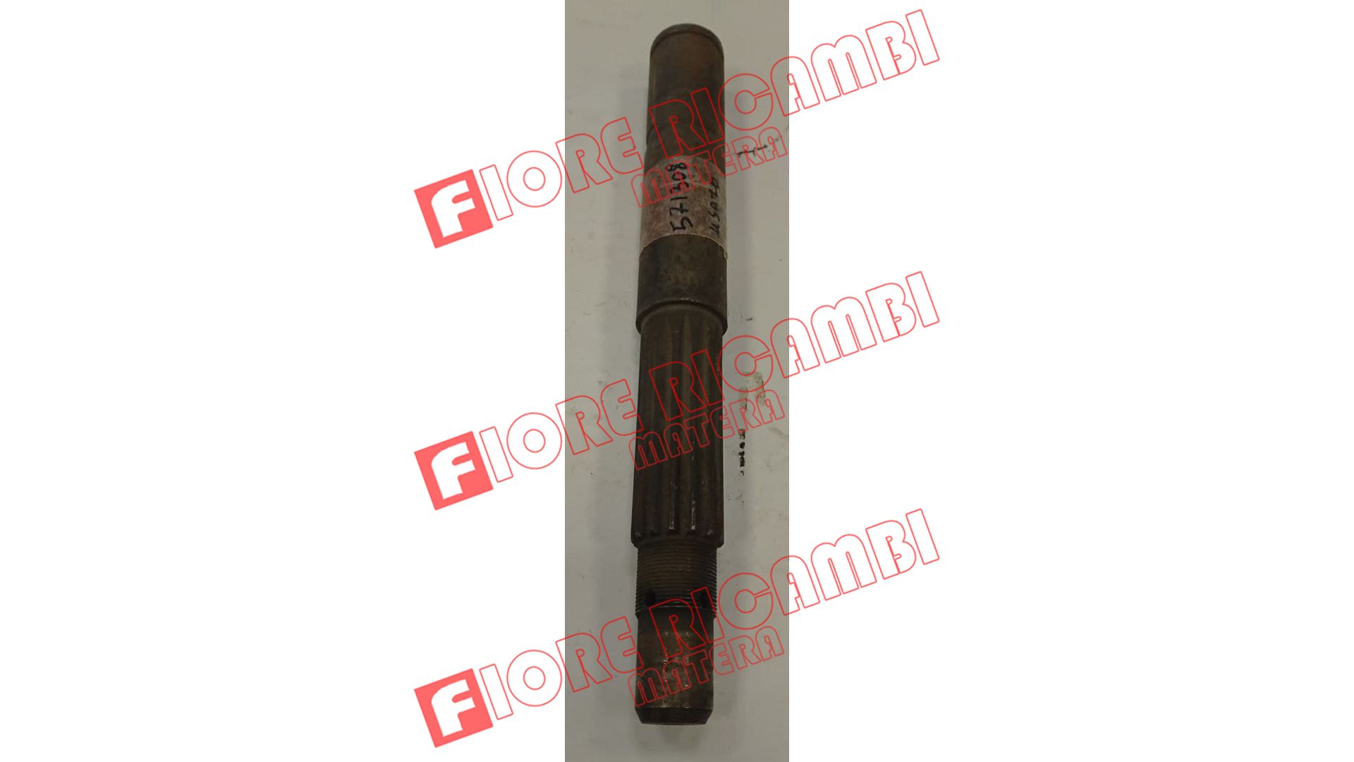 571308 - ALBERO F.C.