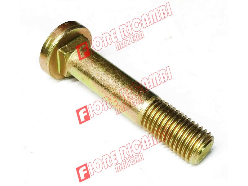 83955753 - VITE TTQST 16X79