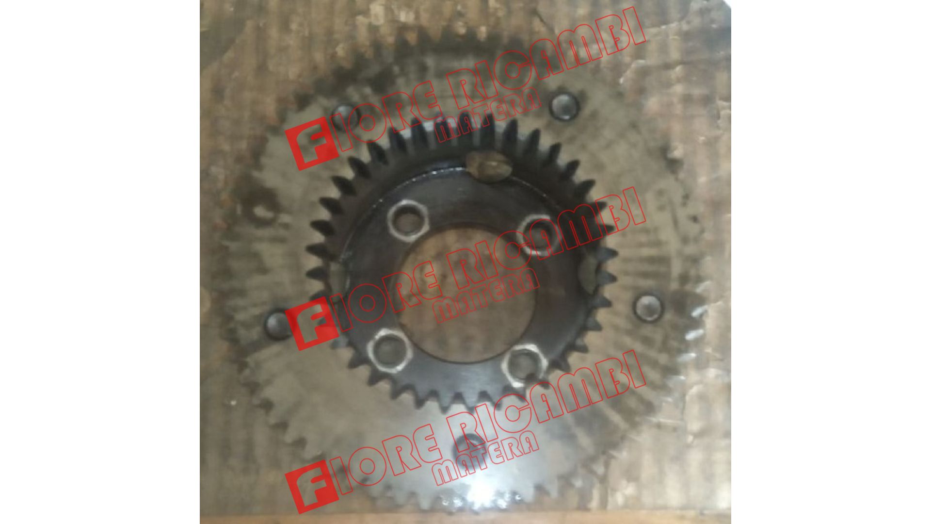 8824637 - INGRANAGGIO CPTZ50