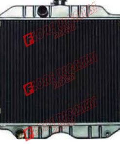RE66029 RADIATORE