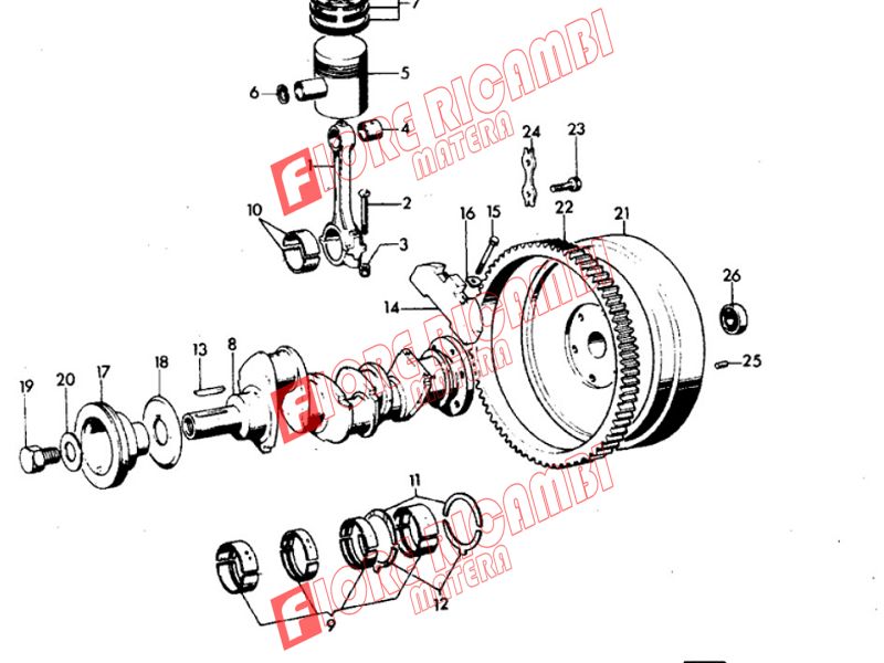 1817069M1 - SPINA FIG 25