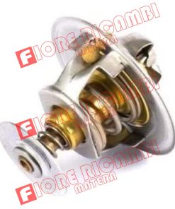 6676176A1 EX 2485613 TERMOSTATO