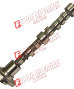 6678391A1 - ALBERO USATO BUONO