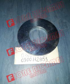 300112953 ANELLO CENTRAGGIO