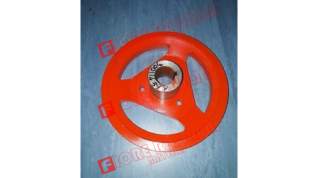 300114379 - PULEGGIA