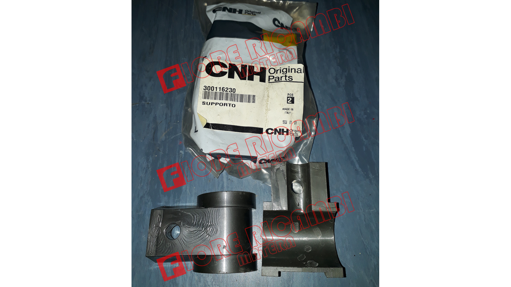 300116230 - SUPPORTO
