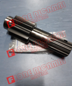 300129002 - PIGNONE