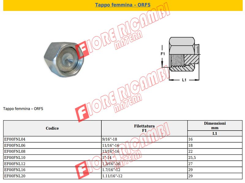 EF00FNL06 - TAPPO FEMMINA 11/16 -16 ORFS