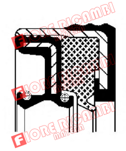 3015548X1 - PARAOLIO COMBI 60x75x16