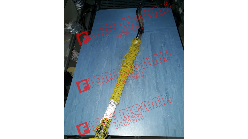 300117173 - ALBERO