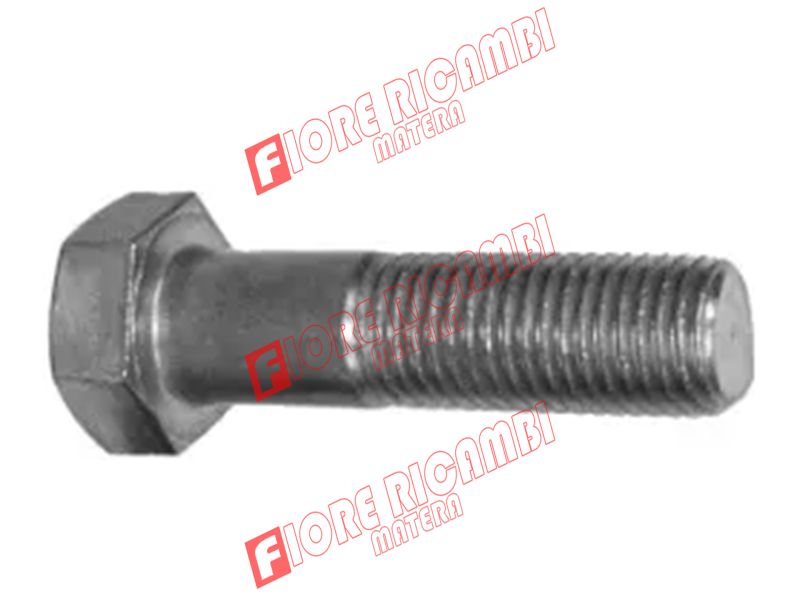11125234 - BULLONE 24 X 75 MA 10.9 VEDI NEI BULLONI