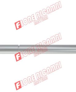 R121906 SPINA