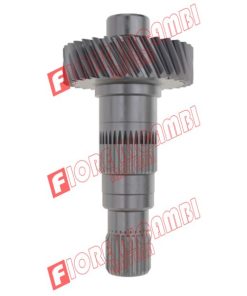 R183252 ALBERO DEL PIGNONE