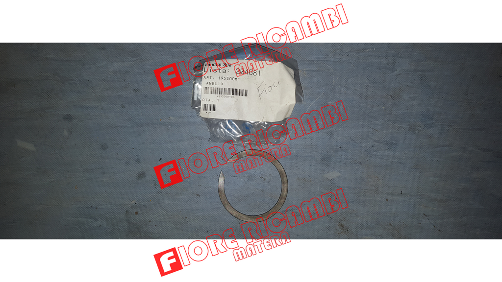 195500M1 ANELLO D'ARRESTO